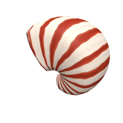 Nautilus Shell