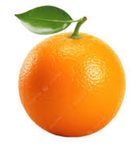 Japple Dapples