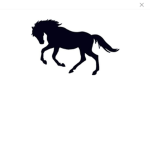 Windy Tail Riding Academy