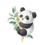 Panda’s group productions