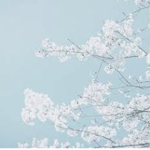 Aesthetic vibes14