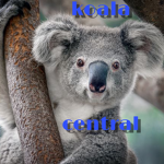 Koala central