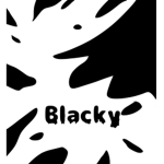 The Blackk Team
