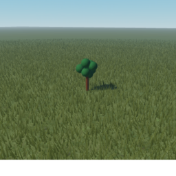 Tree.