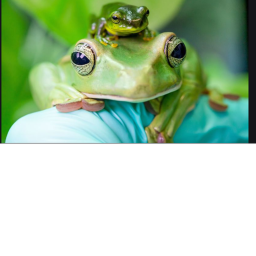 Frog Kingdoms (early access) (NEW UPDATE!)