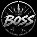 BOSS.GOV