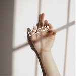 Palate