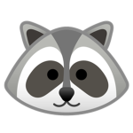 Wise Raccoon Studio