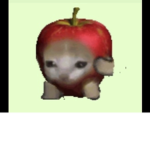 joe mama </3