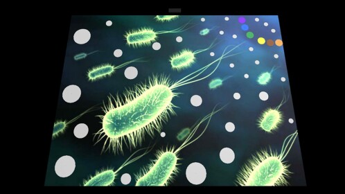 Nano Wars