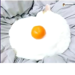 Vicgamespedrosa