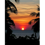 Sunset Dance Academy #SunnysDanceAcadamy