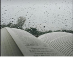 Rainstorm Studio