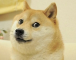 Country of the Doge