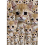 El Gato’s Group!