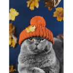 #TheAnimalGroup