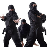 Ninja teens