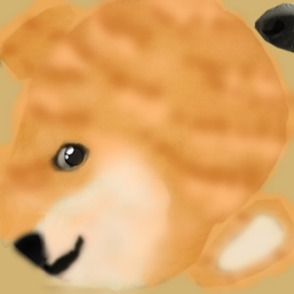 Cat. Doge Roblox decal