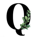 #QQARMY!