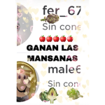 Grupo chileno