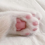 Purzzz