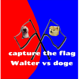 capture the flag walter vs doge