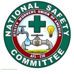Committee for Public Safety