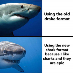 Shark obby