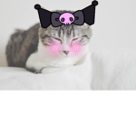 froog :O