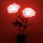 Neon Rose