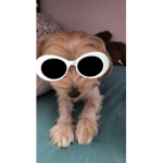 aestheticpepps