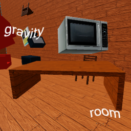 gravity room