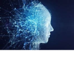 Intelligence Division ID