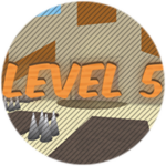 Level 5