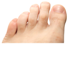 the TOES squad