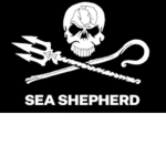 Sea shepherd - saving the ocean one at a time