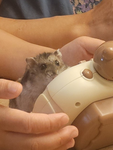 Fun group playplay