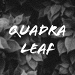 Quadra Leaf Studios
