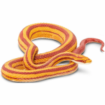 Corn Snakes United