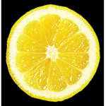 Lemonz Studio