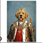 Thedogskingdom