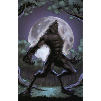 pliase634's Place Number: 86