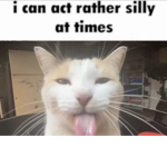 gigab