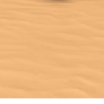 Border Guards 2050s
