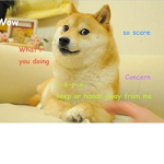 A group that has doges in it