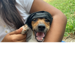 Doritopaw