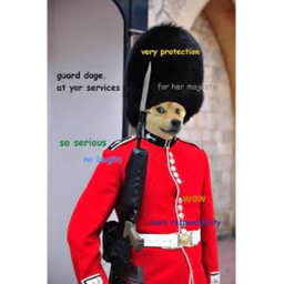 the raiding grenadiers meeting