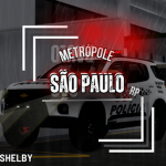 RP SAO PAULO