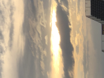 STARYDAY