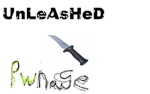 UnLeAsHeD PwNaGe